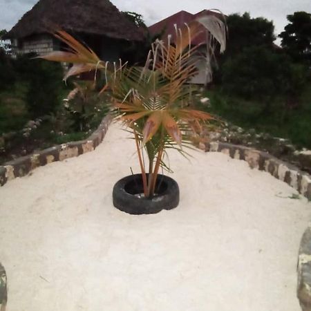 Marashi Villa Nungwi Dış mekan fotoğraf