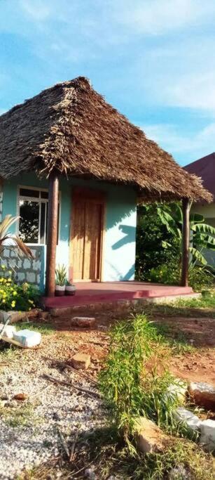 Marashi Villa Nungwi Dış mekan fotoğraf