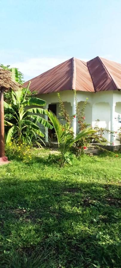 Marashi Villa Nungwi Dış mekan fotoğraf
